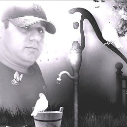 ������, ������, 43 ����