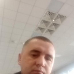 �����, �������, 41 ���