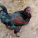 ���� ����, ������������ - ��������� 6 ������� 2023 � ������ ���� ����������