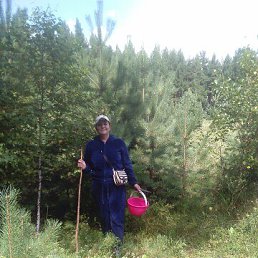 ���� �������, ������, 53 ���� - ��������� 22 ������ 2023