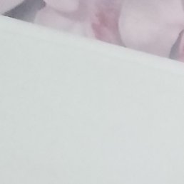 ����, ������, 50 ���