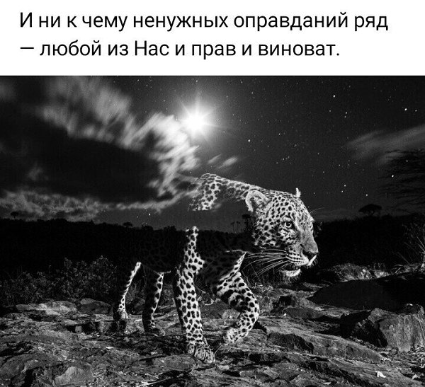 ***Victoria Viktorovna*** - 13  2023  06:16