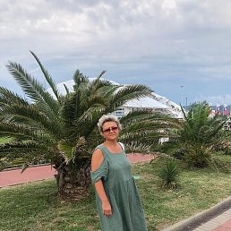 ��������, �������, 52 ����