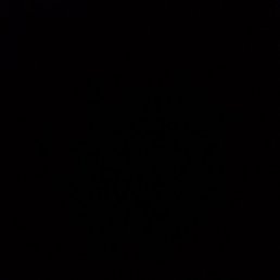 Navruz, ������, 33 ����