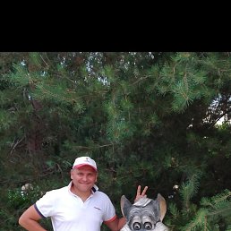 ����, �����������