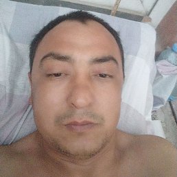 ������, �����, 43 ����