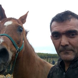 ˸��, ������, 43 ����