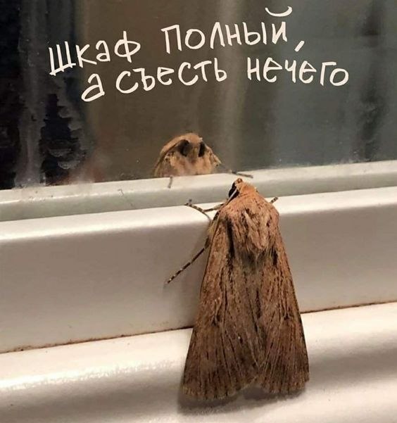   - 4  2023  23:51