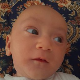 ��������, �����-���������, 25 ���