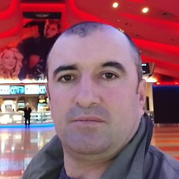 �����, �������, 44 ����