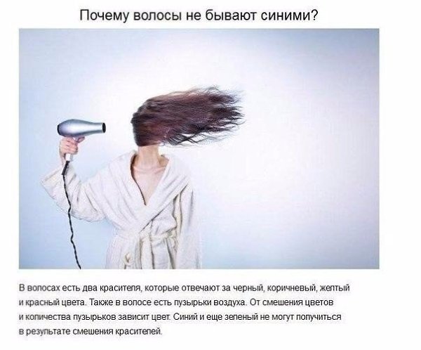Ответы на детские вопросы, от которых «взрывается» мозг. - 8