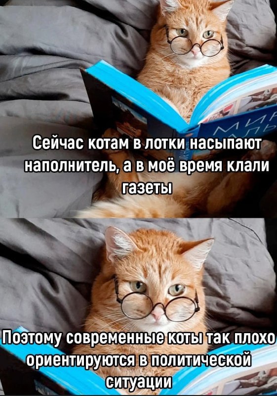   - 27  2023  16:39