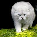 ���� �������, �����, 38 ��� - ��������� 19 ��� 2023 � ������ ���� ����������