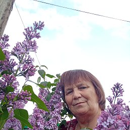 ���� �������, �������������, 61 ��� - ��������� 10 ���� 2023