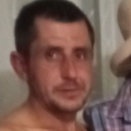 �����, �����������, 41 ���