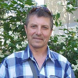 ������, �����, 65 ���