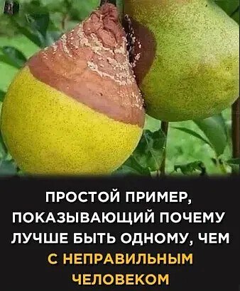       .     ?          ...