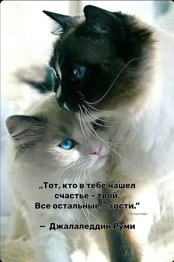   - 6  2023  20:40