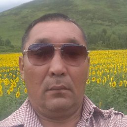 ������ ���������, ������, 54 ����