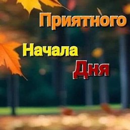 �������, ������, 41 ���