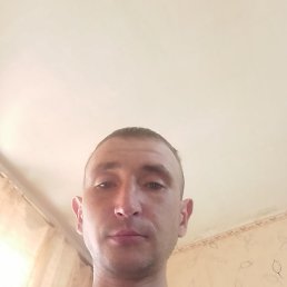 �����, ���������, 36 ���