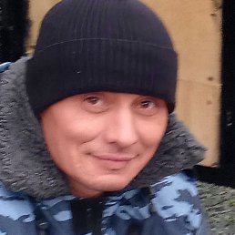 ������, ������, 41 ���