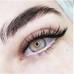 ���������, ����������, 22 ����