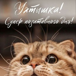 �������, �����, 43 ����