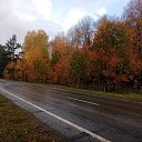 ���� ���������, �����, 37 ��� - ��������� 4 ������� 2023 � ������ ������ ��������