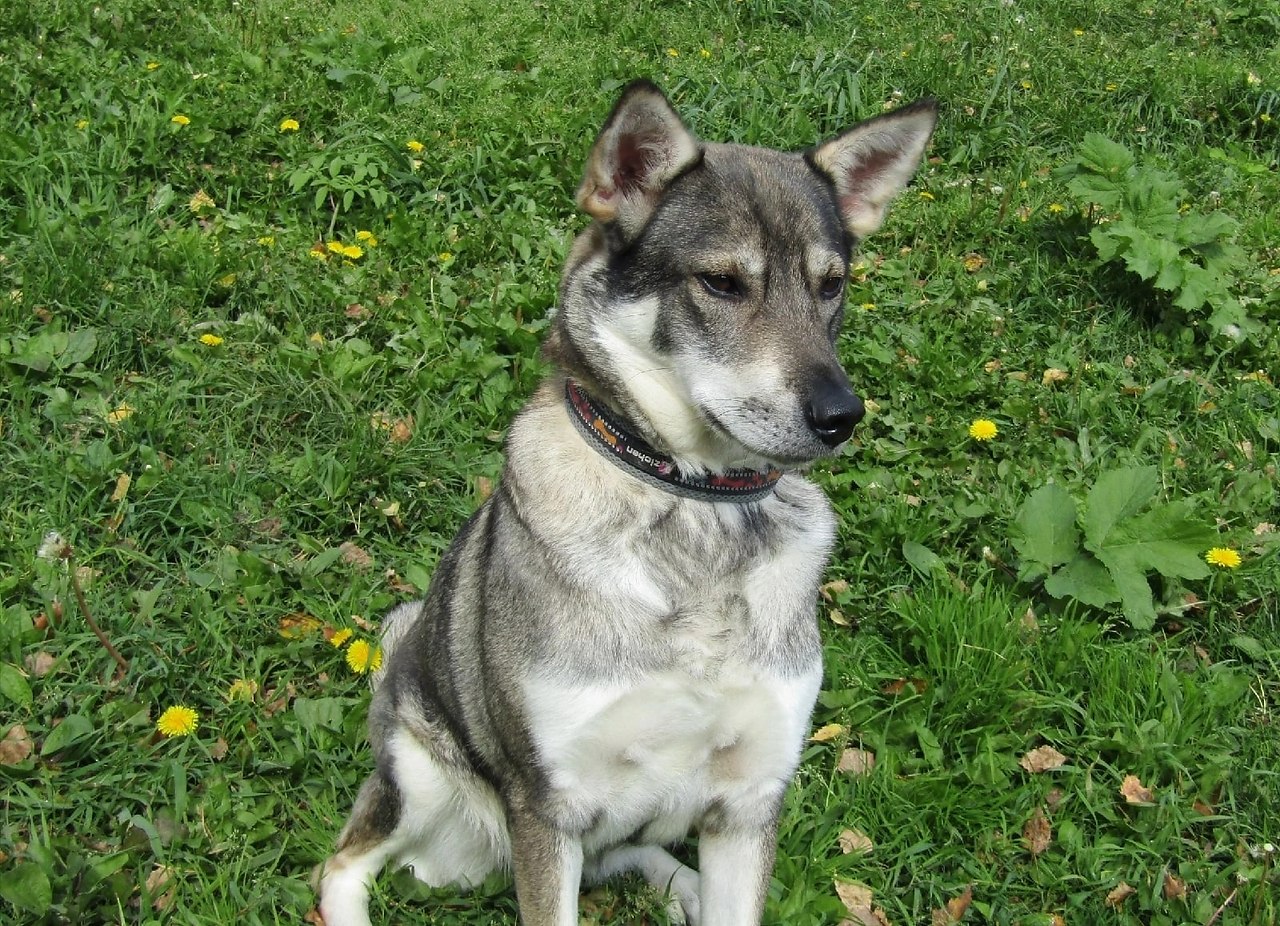 Время добрых дел - Я живу [В] Красноярске, №2605093946 | Фотострана ...