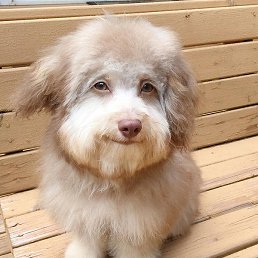 ����, ������, 31 ���