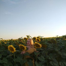, 43, 