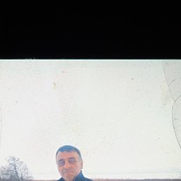 ���� �����, ������, 41 ��� - ��������� 2 ����� 2023