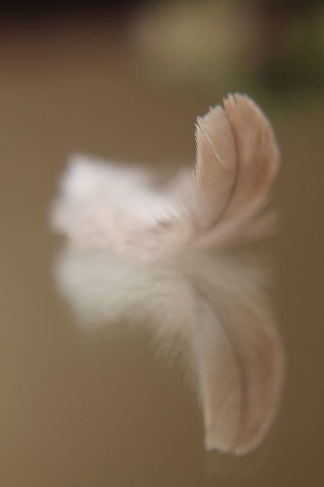    , .        ,  ... - 5