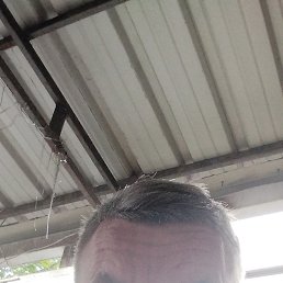 �����, �����������, 45 ���