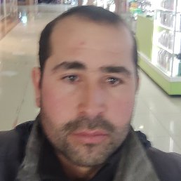 �����, ������, 37 ���