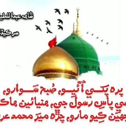 Hasnain, ������, 33 ����