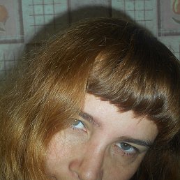 ���, �����, 41 ���