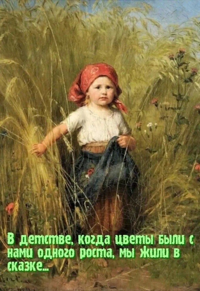 --------------------