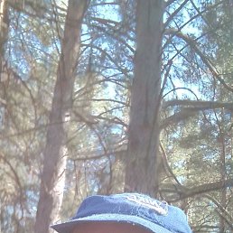 ����, ������, 46 ���