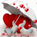 ���� ��������, ������, 39 ��� - ��������� 10 ���� 2023 � ������ ���� ����������