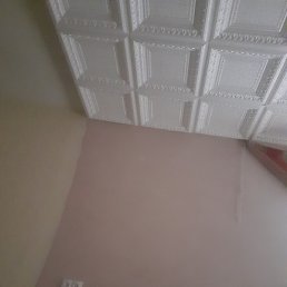 ����, ������, 49 ���