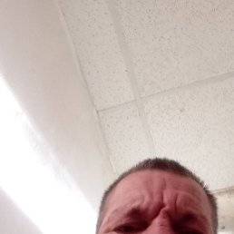 ���� ����, �������, 56 ��� - ��������� 1 �������� 2023