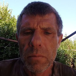 ����, ������, 40 ���