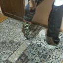 ���� ���, �������, 54 ���� - ��������� 10 ��� 2023 � ������ ���� ����������