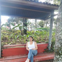 Dians, ����, 43 ����