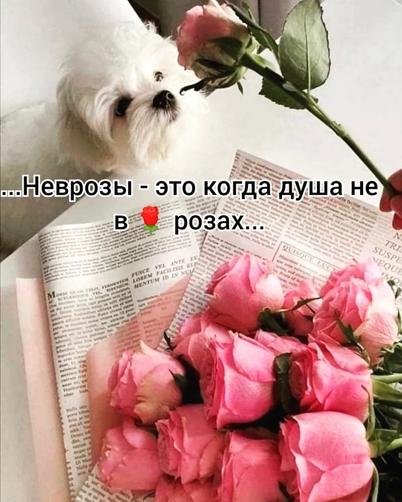   - 21  2023  07:11