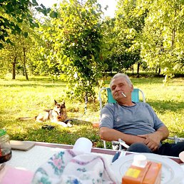 ������, �����, 54 ����