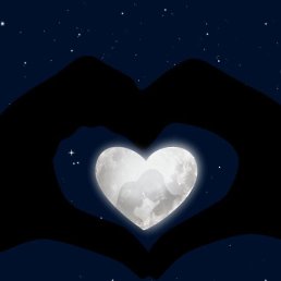 ���, �����, 43 ����