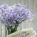 ���� ��������, ����������, 53 ���� - ��������� 31 ��� 2023 � ������ ���� ����������